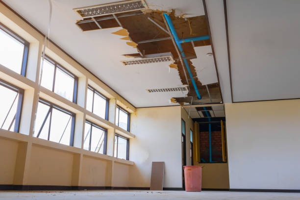 Best Water damage restoration near me  in Nroe City, MO