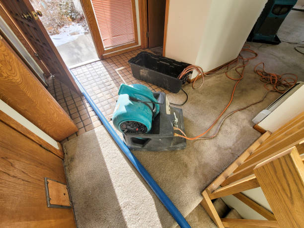 Best Flood restoration services  in Nroe City, MO