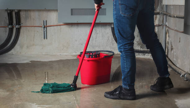 Best Local water damage restoration  in Nroe City, MO