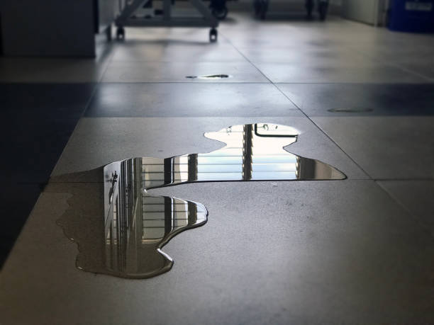 Best Water damage cleanup near me  in Nroe City, MO