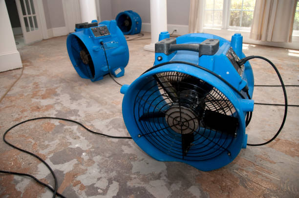 Best Water damage restoration near me  in Nroe City, MO