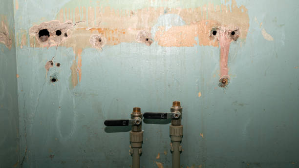 Best Professional water damage repair  in Nroe City, MO