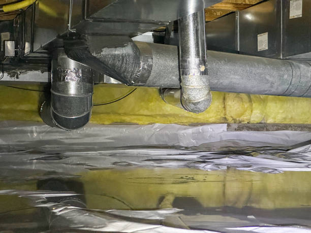 Best Carpet water damage restoration  in Nroe City, MO