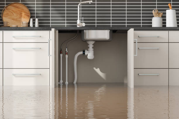 Best Flooded house restoration  in Nroe City, MO