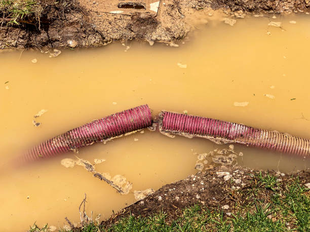 Best Water damage restoration near me  in Nroe City, MO