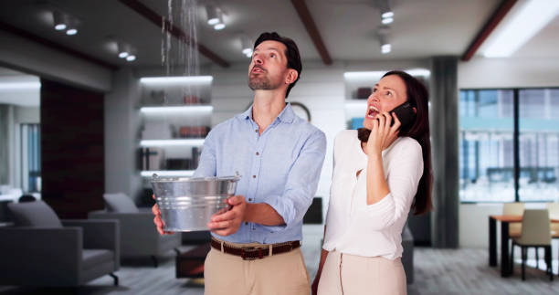 Best Flood restoration services  in Nroe City, MO